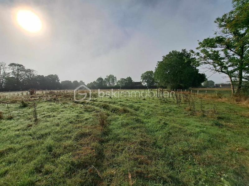 Maison de domaine équestre - 60 m² - 2 pièces