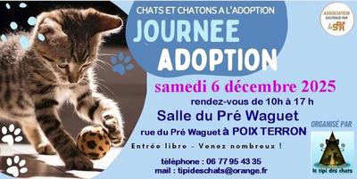 Journée adoption chats et chatons