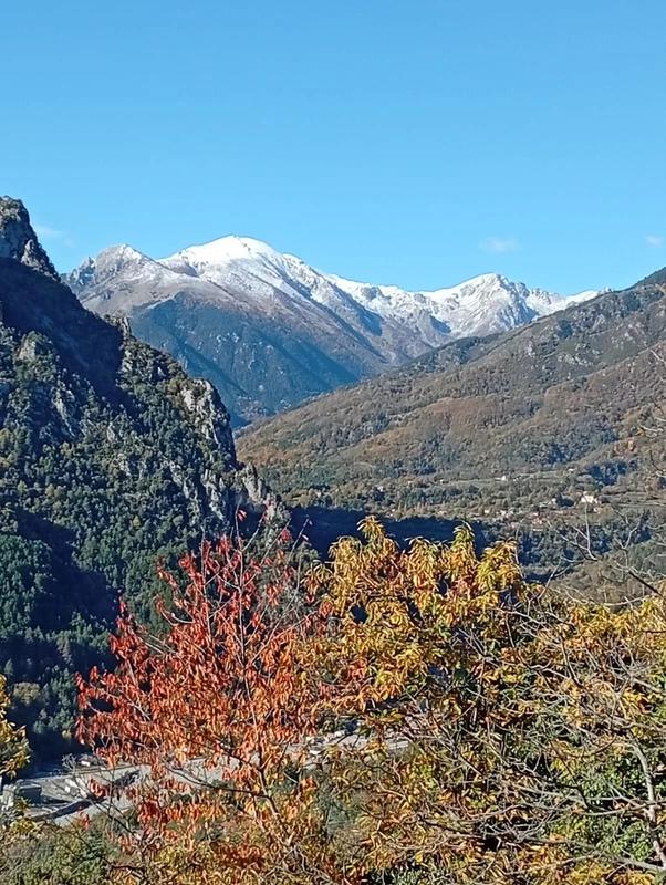 Maison - 62 m² - 2 pièces