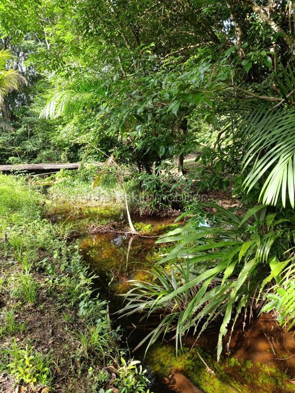 Maison de bois - 110 m² - 5 pièces