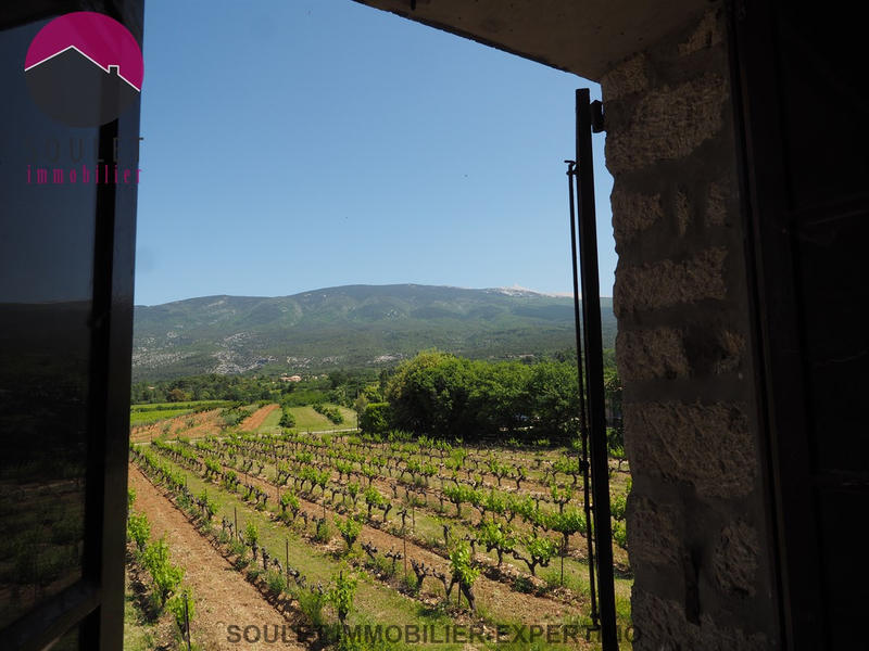 Mas - 300 m² - 12 pièces