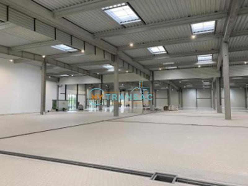 Local d'activité / Entrepôt - 3 279 m²