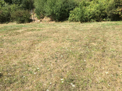 Terrain - 1 245 m²