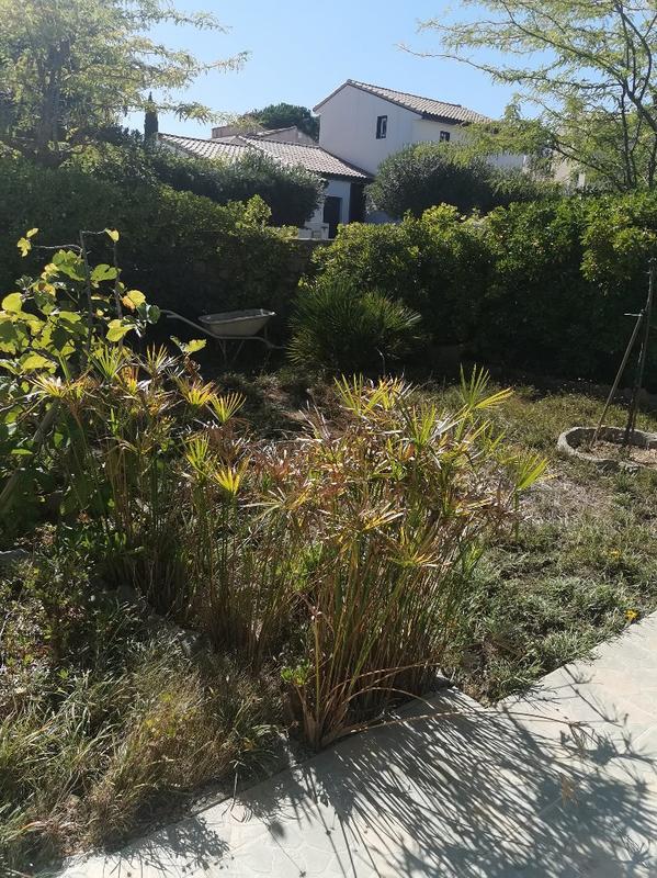 Villa - 119 m² - 6 pièces