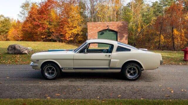 Ford Mustang V8