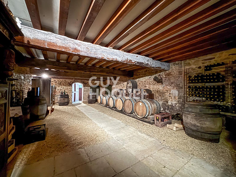 Maison - 460 m² - 16 pièces