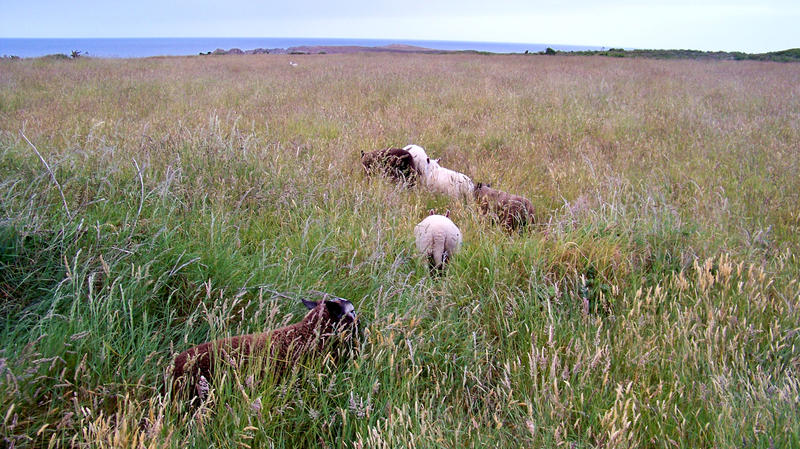 Faire Bande / la Canourgue