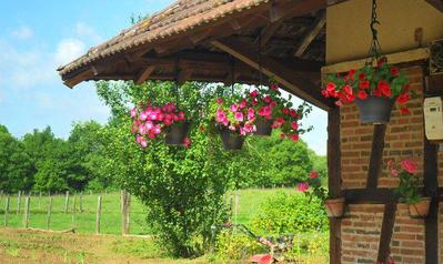 Earl au Bas de l'Etang