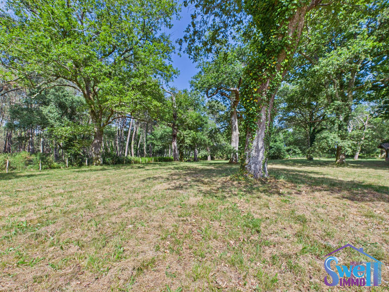 Maison contemporaine - 272 m² - 9 pièces