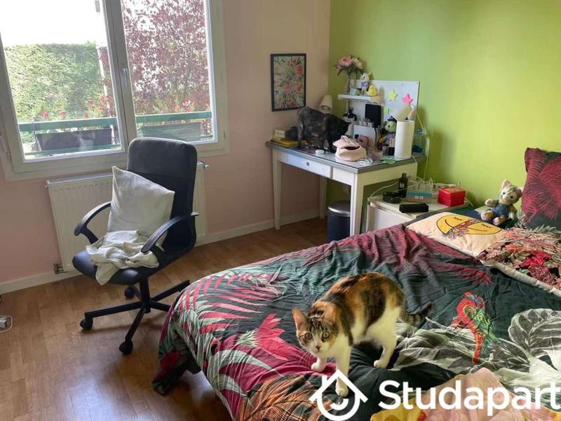 Chambre - 10 m² - 1 pièce