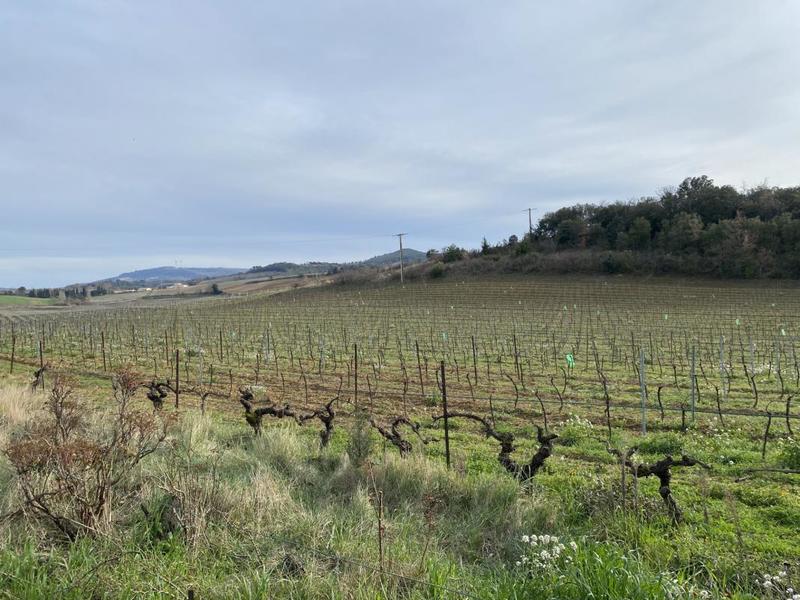 Propriété - 127 m² - 5 pièces