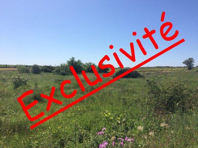 Terrain agricole - 5 070 m²