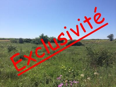 Terrain agricole - 5 070 m²