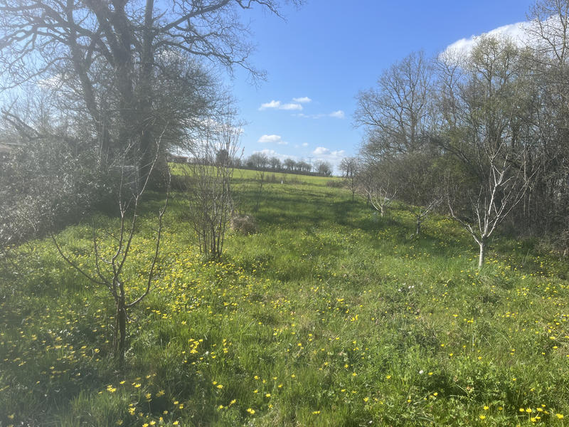 Terrain agricole - 1 097 m²