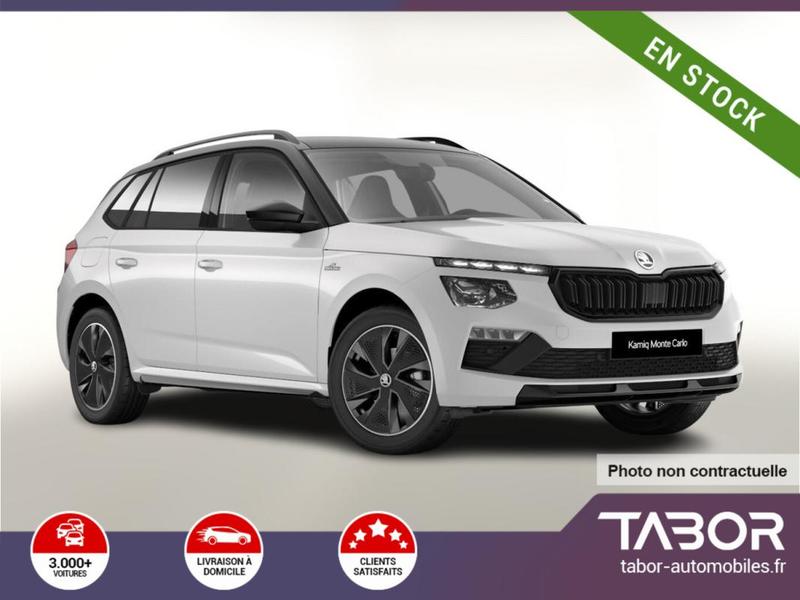 Skoda Kamiq Dsg MonteC Pano Matrix Cam Kessy