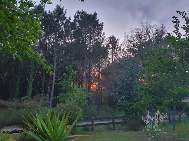 Maison ancienne - 188 m² - 6 pièces