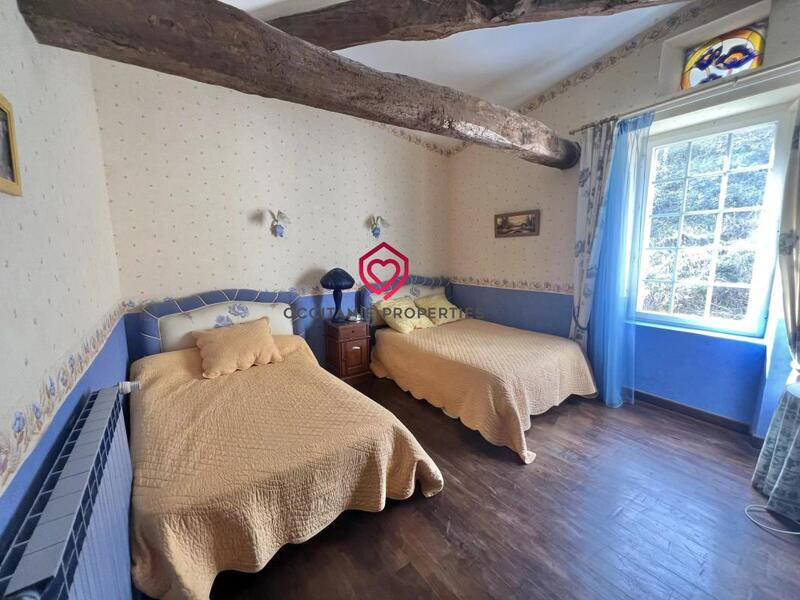 Moulin - 260 m² - 12 pièces