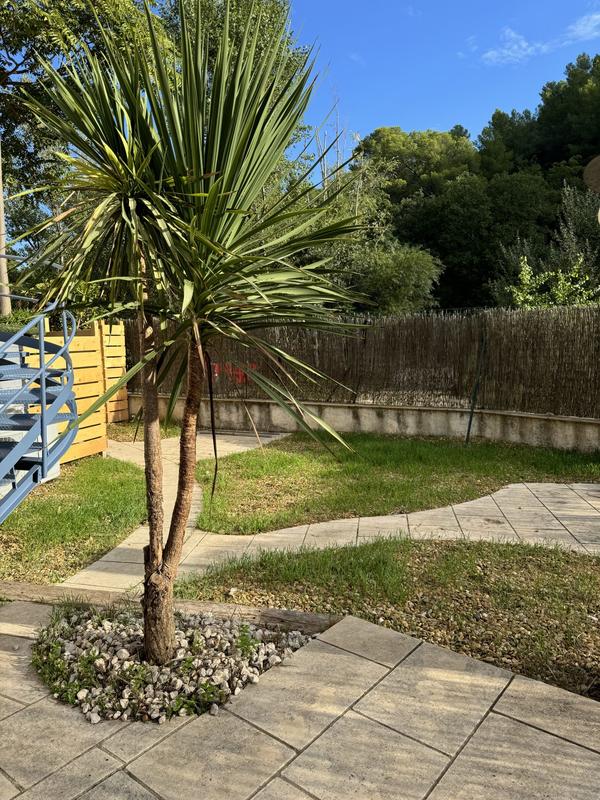 Appartement - 52 m² - 2 pièces