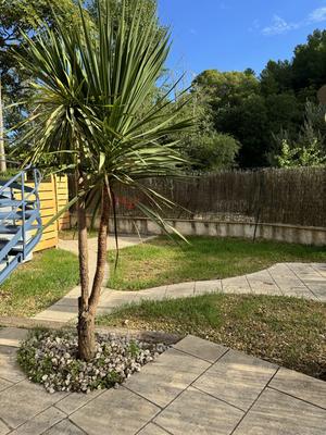 Appartement - 52 m² - 2 pièces