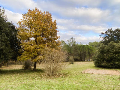 Maison - 93 m² - 3 pièces