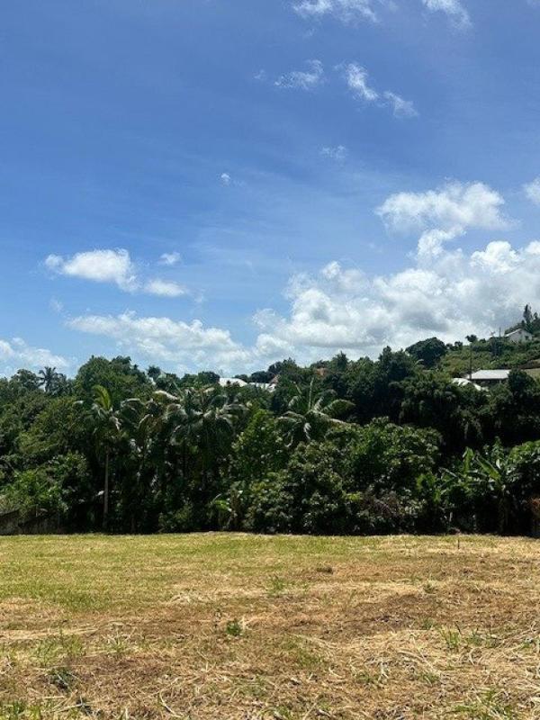 Terrain constructible - 716 m²