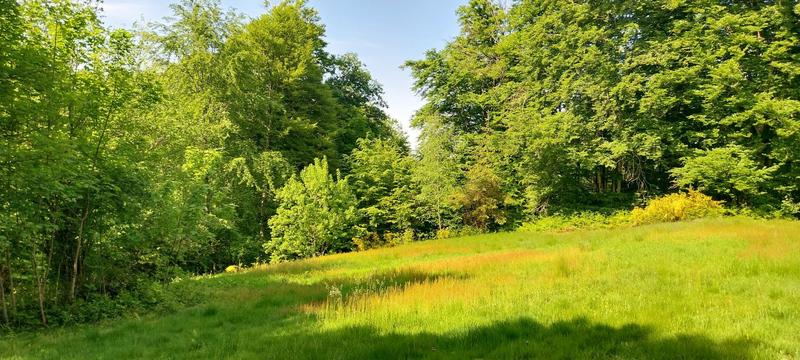 Maison de campagne - 65 m² - 4 pièces