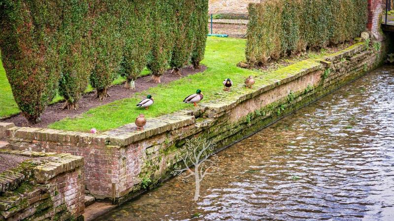 Maison - 121 m² - 3 pièces