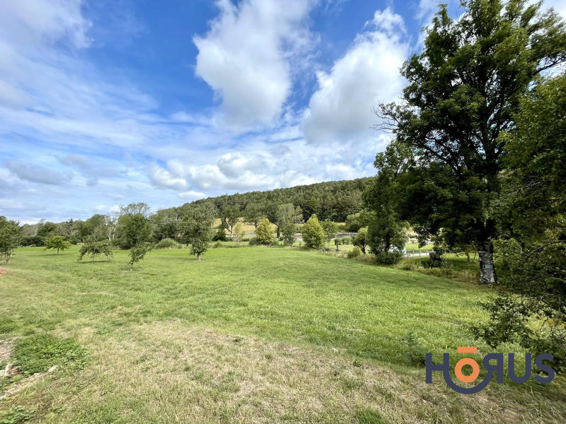 Viager - Maison - 178 m² - 6 pièces