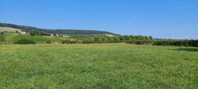 Terrain - 797 m²