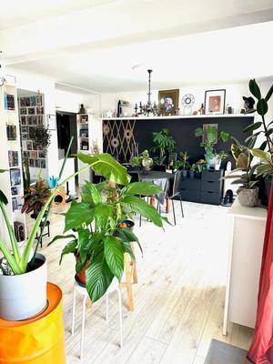 Appartement - 72 m² - 3 pièces