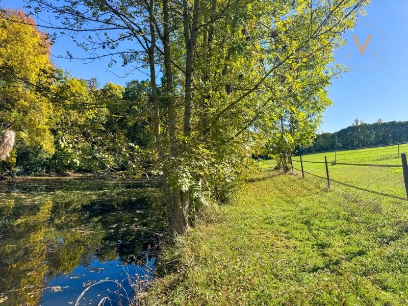 Corps de ferme - 230 m² - 9 pièces