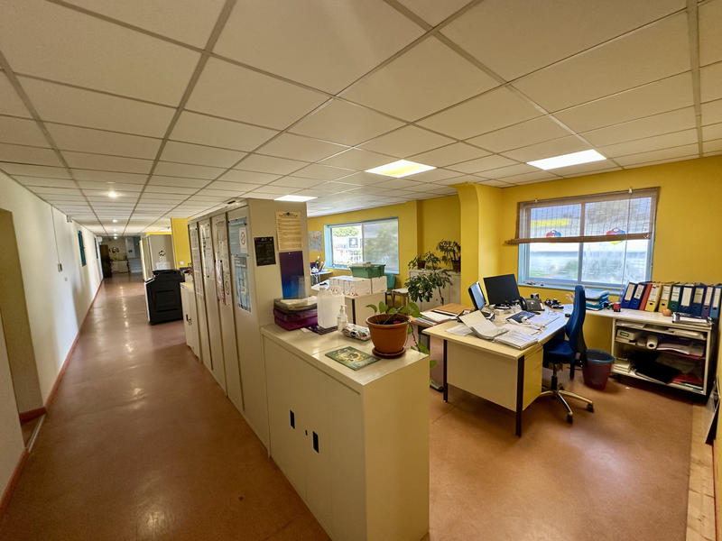 Local d'activités - 980 m²