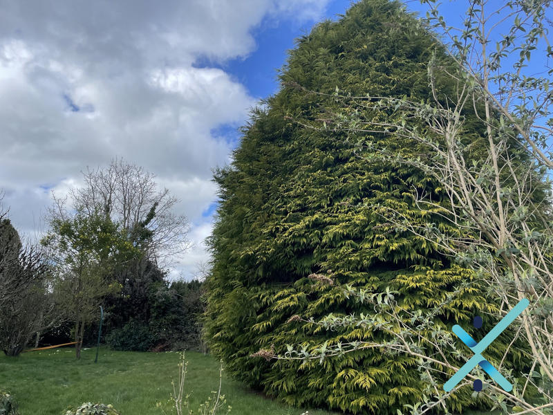 Maison ancienne - 147 m² - 7 pièces