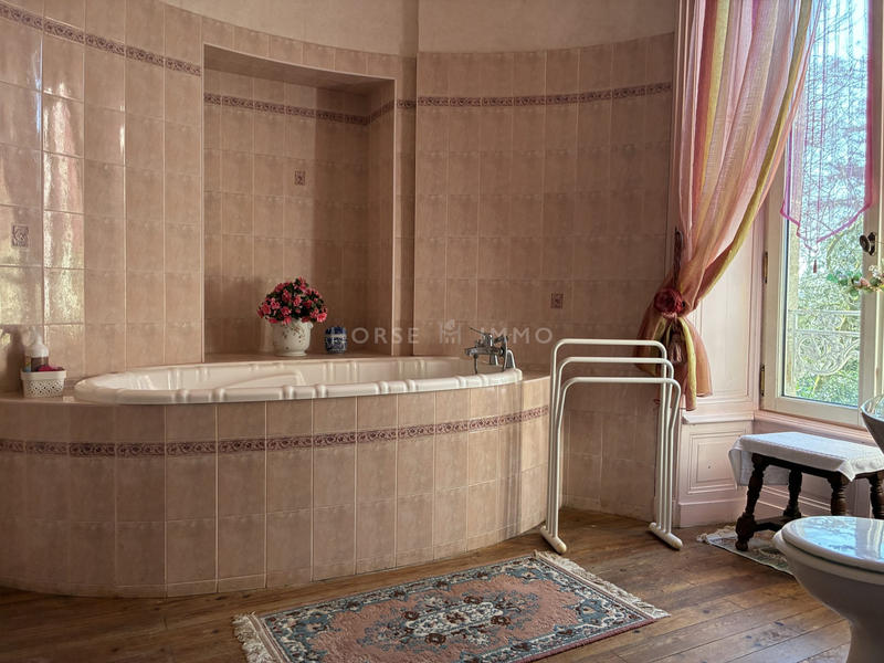 Château - 483 m² - 10 pièces