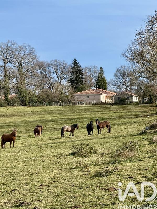 Maison de village - 158 m² - 5 pièces