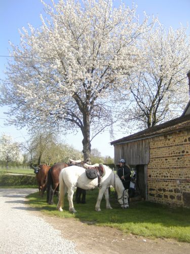 la ferme de l'oraille
