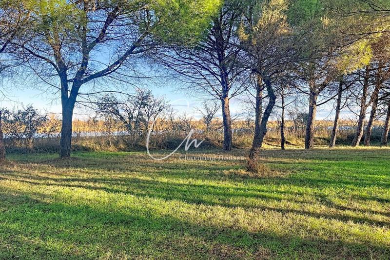 Propriété - 4 200 m² - 80 pièces