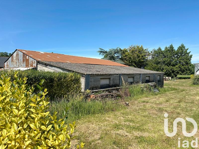 Maison - 146 m² - 7 pièces