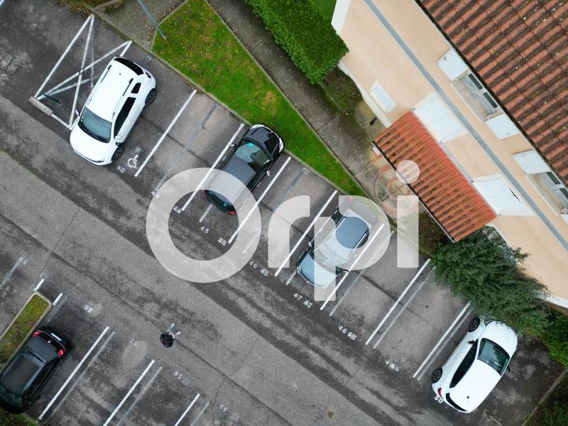 Appartement - 55 m² - 2 pièces