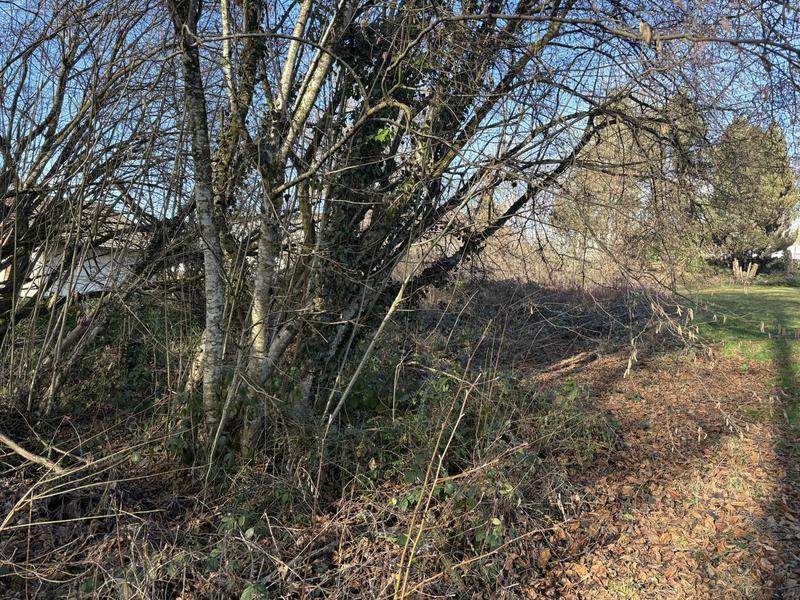 Terrain constructible - 968 m²