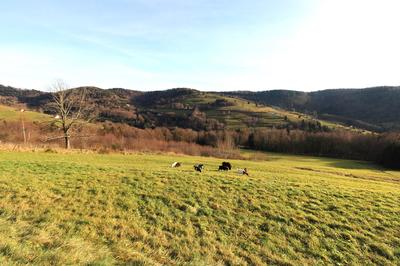 Ferme - 188 m² - 5 pièces