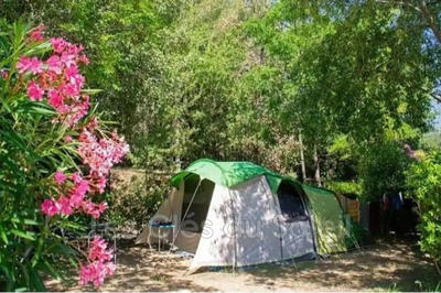 Fonds de commerce - Magasins - 9 700 m²