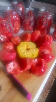 Le Goût des Saisons