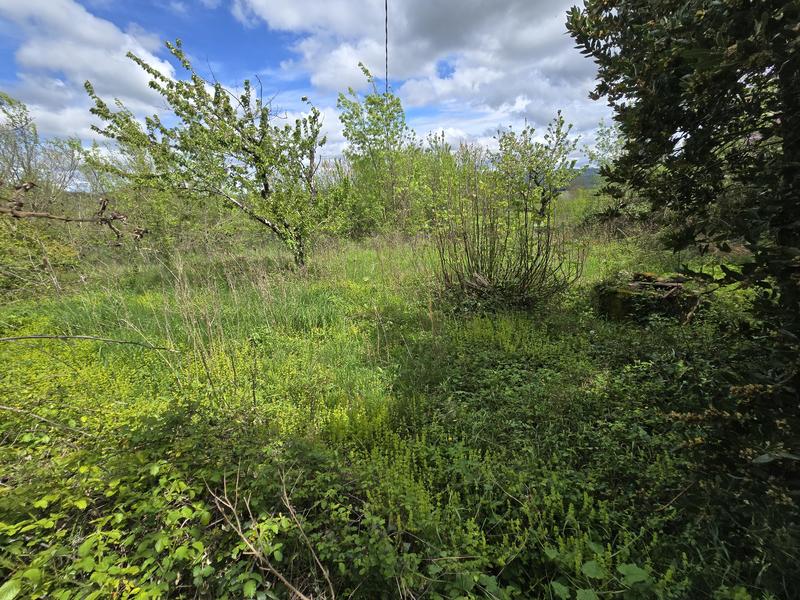 Corps de ferme - 85 m² - 6 pièces