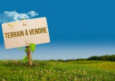 Terrain - 38 645 m²