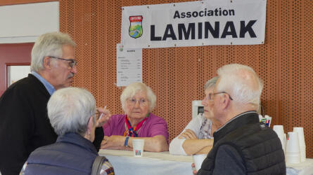 Puces de couturières