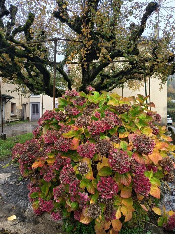 Maison de village - 85 m² - 4 pièces