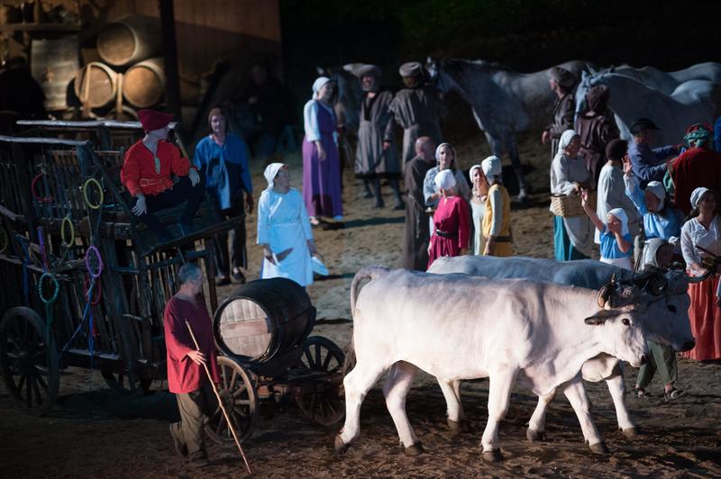 Spectacle la Bataille de Castillon