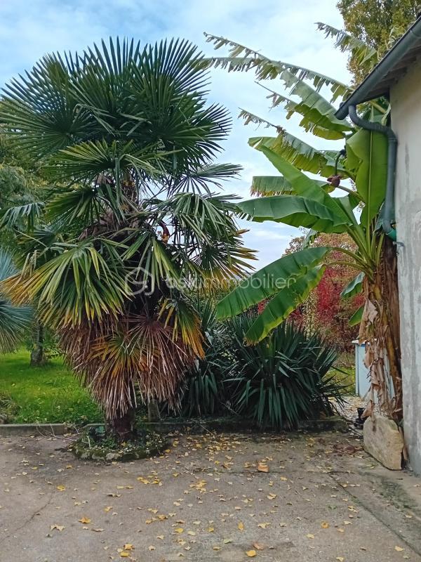 Propriété - 110 m² - 4 pièces