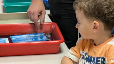 Atelier : la photographie cyanotype